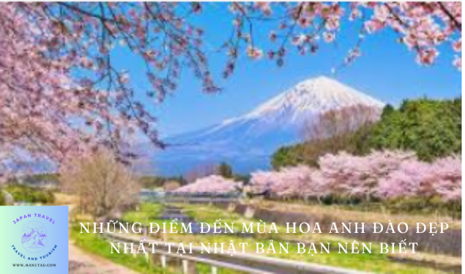 Những điểm đến mùa hoa anh đào đẹp nhất tại Nhật Bản bạn nên biết