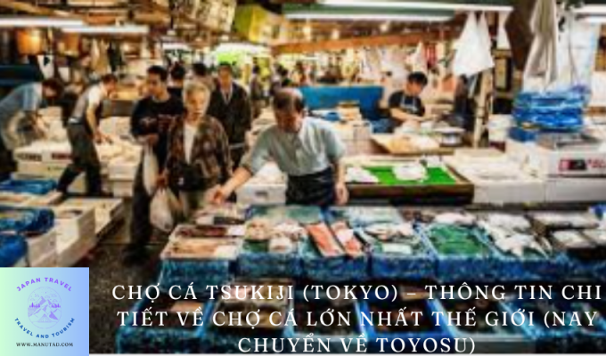 Chợ cá Tsukiji (Tokyo) – Thông tin chi tiết về chợ cá lớn nhất thế giới (nay chuyển về Toyosu)