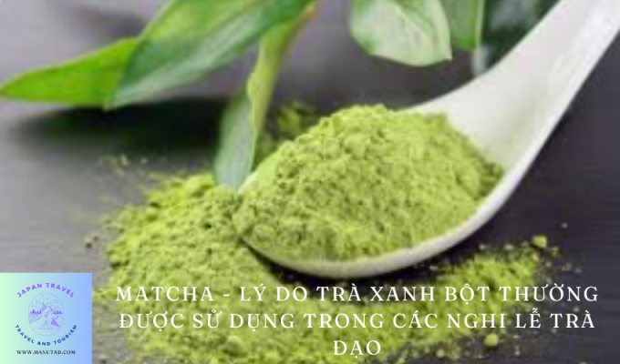 Matcha – Lý do trà xanh bột thường được sử dụng trong các nghi lễ trà đạo