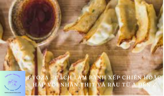 Gyoza – Cách làm bánh xếp chiên hoặc hấp với nhân thịt và rau từ A đến Z